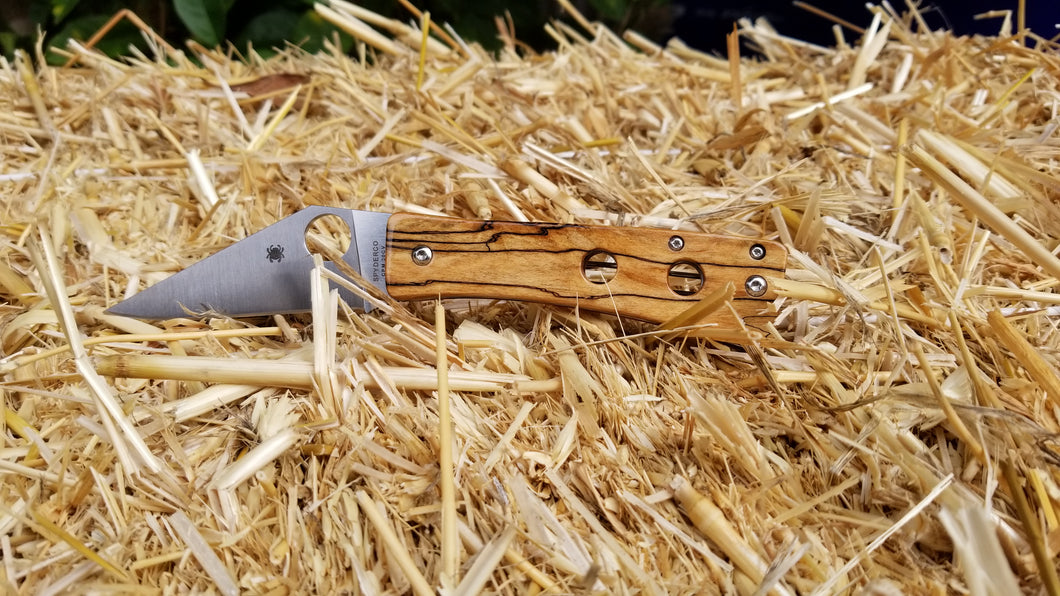 Limited Release: Fall 2020 Series Spyderco Watu Spalted Maple Scales